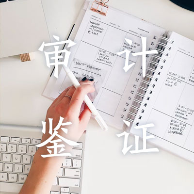审计鉴证